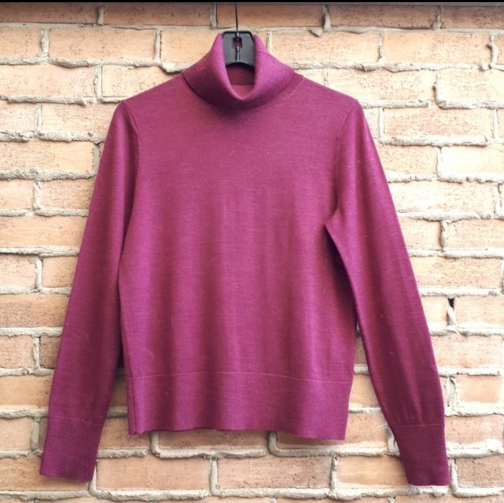 GAP 100% Merino Extra Fine Wool Turtleneck Sweater in Berrie
